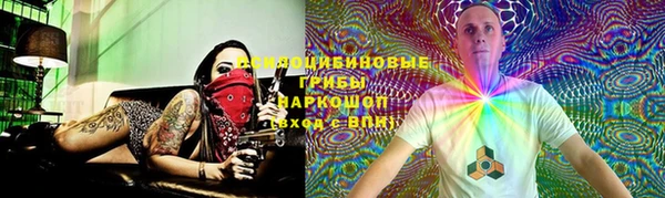 тгк Абаза