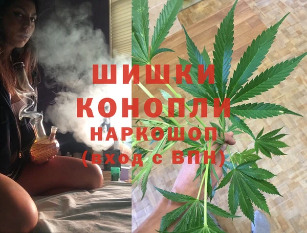 тгк Абаза