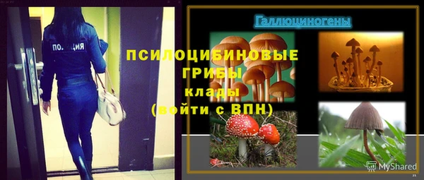 тгк Абаза