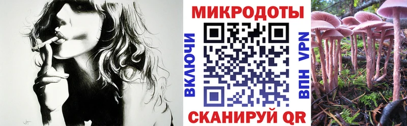 Псилоцибиновые грибы мицелий  купить наркотик  Лосино-Петровский 
